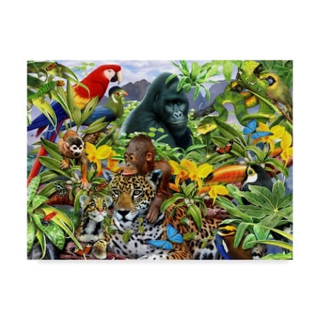 Howard Robinson 'The Jungle' Canvas Art,18x24
